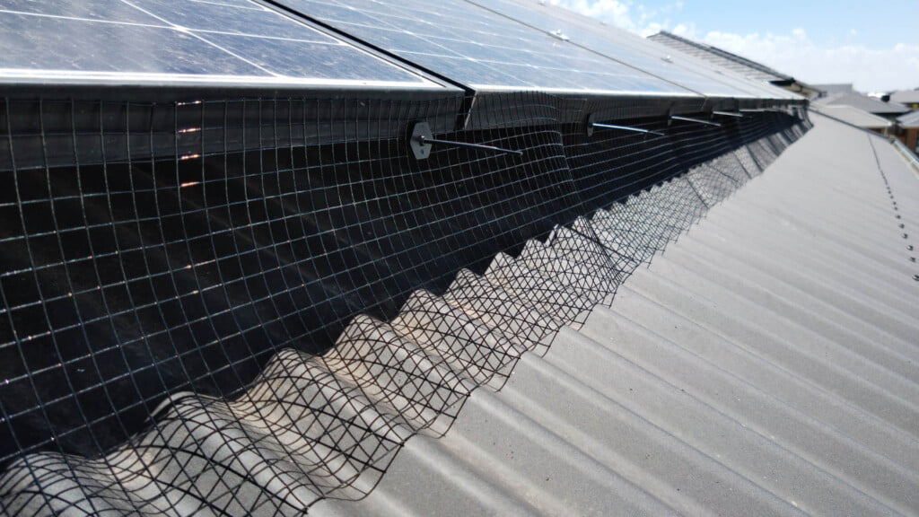 Bird mesh installed under solar panels